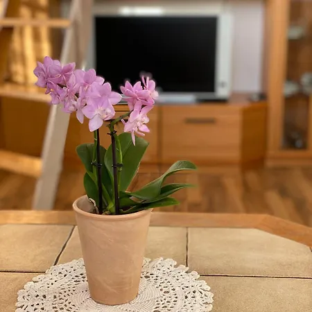 Apartment Ferienappartements-ferienwohnung *