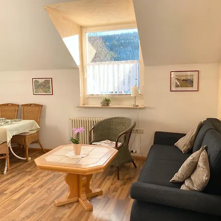 Ferienappartements-ferienwohnung * Schramberg