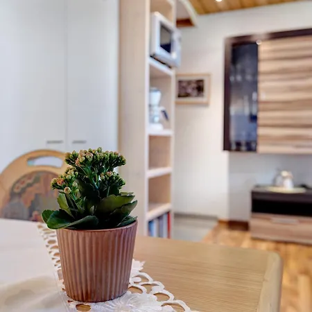 Apartment Ferienappartements-ferienwohnung