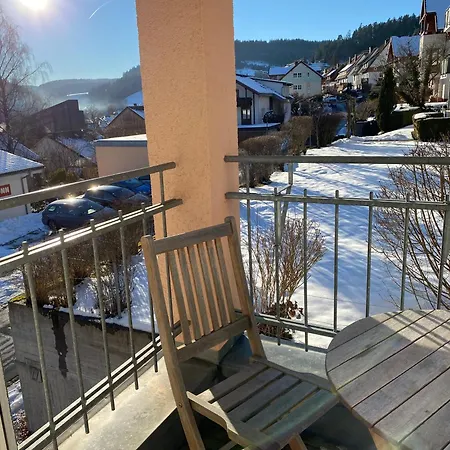 Steige 3 Apartment Schramberg
