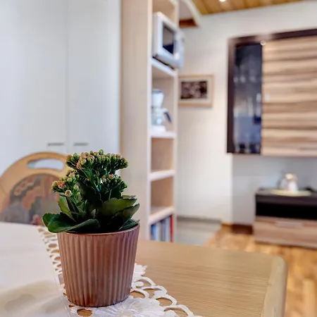 Steige 3 Apartment Schramberg