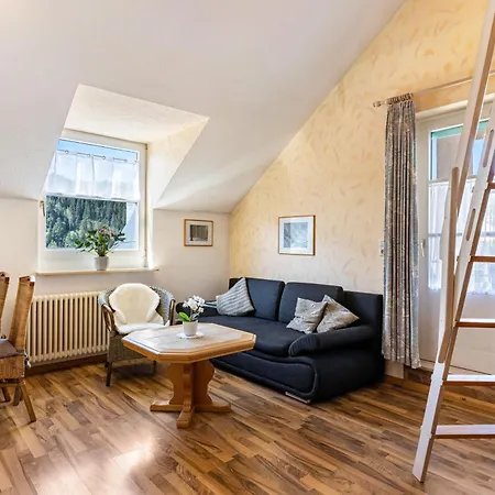 Apartment Steige 3 Schramberg